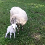 Apartmán Oberseebachhof Scheffau am Wilden Kaiser