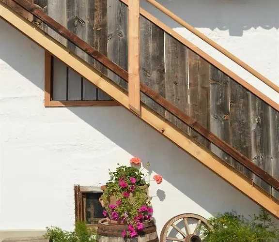 Oberseebachhof * 凯撒山麓舍福