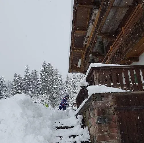 Oberseebachhof 公寓 *