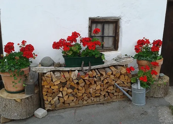 Oberseebachhof شقة شيفو أم فيلدن كايزر